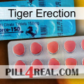 Tiger Erection new14